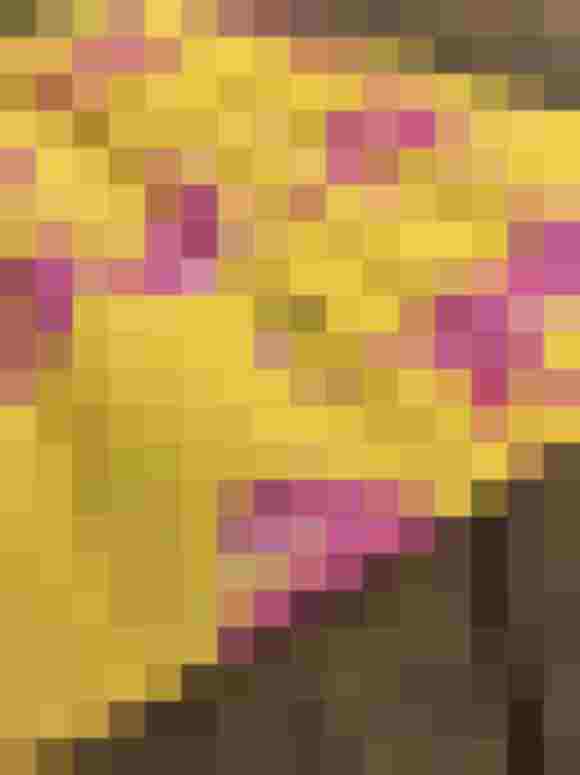 Bunte Schürze mit pinken Geparden auf gelbem Hintergrund, ideal für individuelle Stilrichtungen.