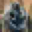 Blauer Schal mit dekorativem Rand, kombiniert mit einer Jeansjacke im alpinen Stil.