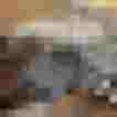 Schlichte, schwarze Ohrhängerdekoration auf einer schwarzen Karte zwischen sanften Pflanzen.