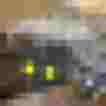Zwei leuchtend gelbe Ohrringe auf schwarzer Karte, umgeben von getrockneten Pflanzen.